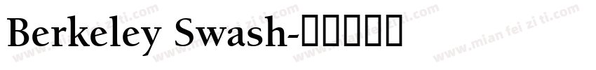 Berkeley Swash字体转换